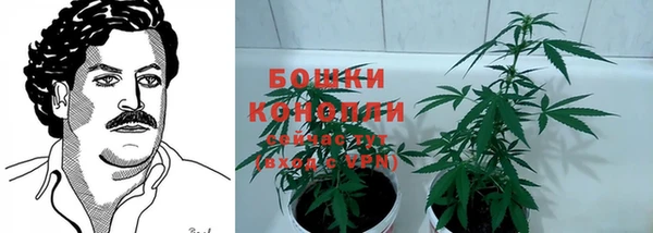 spice Алексин