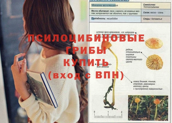spice Алексин