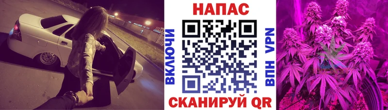MEGA ONION  Сатка  Бошки Шишки MAZAR  где продают  